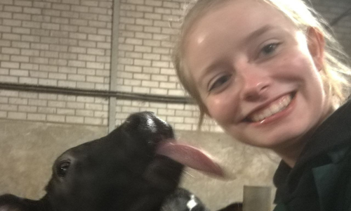 Melissa in de Saffier