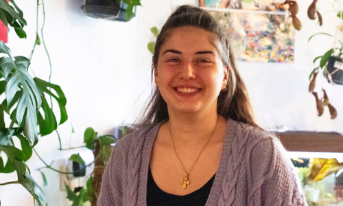 Evangelia in de Saffier